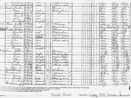 William Knapp in 1880 Saunders Co., NE, census